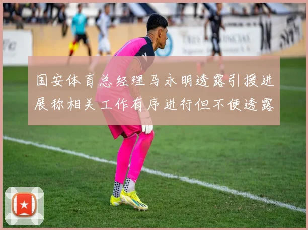 国安体育总经理马永明透露引援进展称相关工作有序进行但不便透露名字